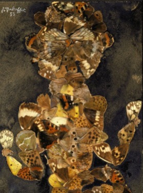 butterflywingfigure-jeandubuffet1953